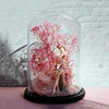 18*20cm 18*22cm 18*25cm 18*30cm 18*35cm 18*40cm Big Size Glass Dome Deocration Different Base Transparent Cover Wedding DIY Gift 2
