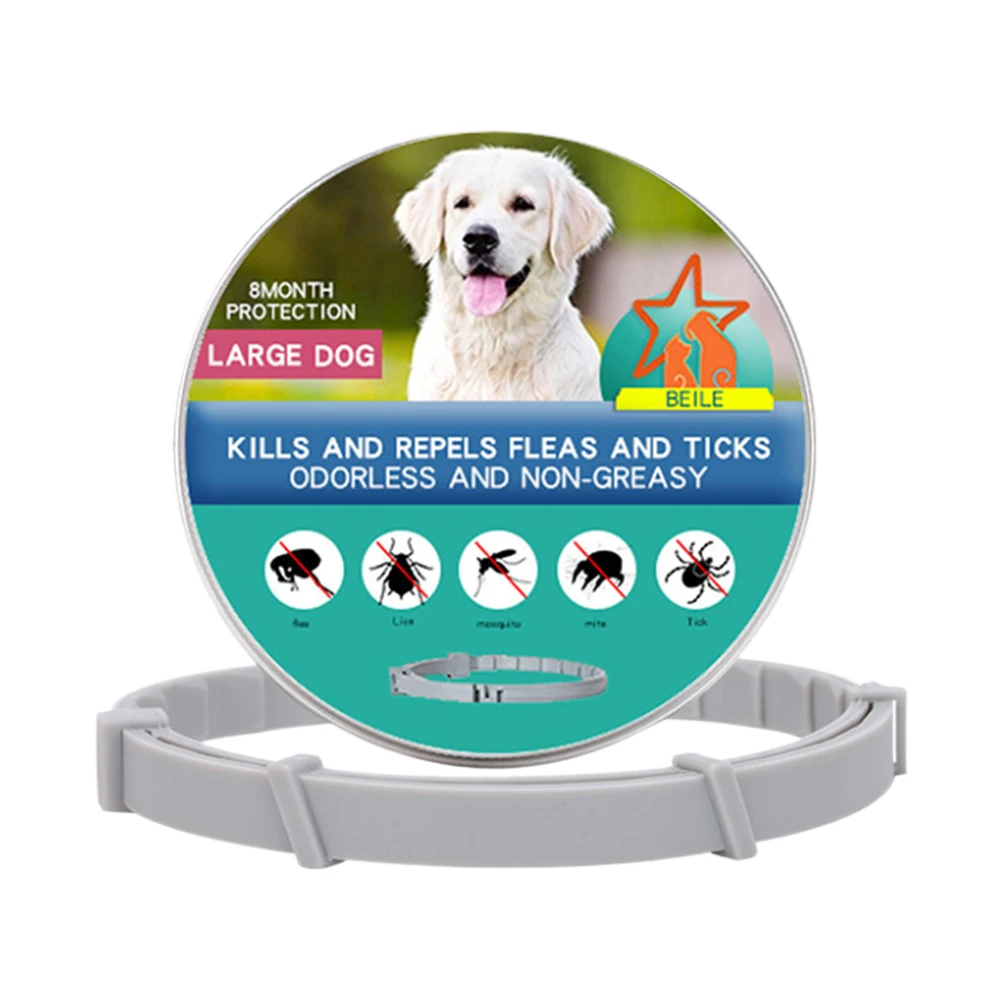 Box Large Dog 70cm