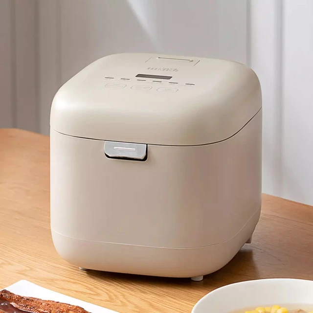 Thanko Low Sugar Rice Cooker