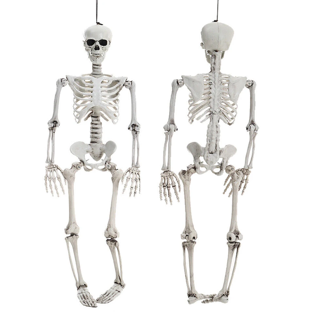 Royelux 90 cm skeleton prop full body view