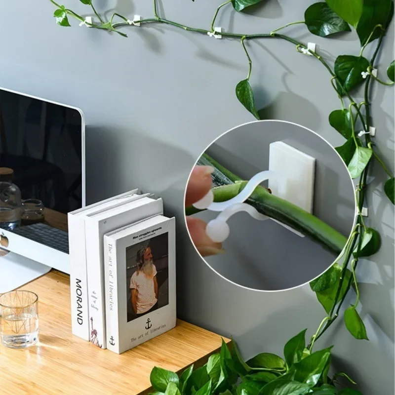 10/30/50pcs Home Garden Plant Climbing Wall Fixture Clips Rattan Vine Fixer Self-Adhesive Plant Climbing Wall Fixed Buckle Hook 2
