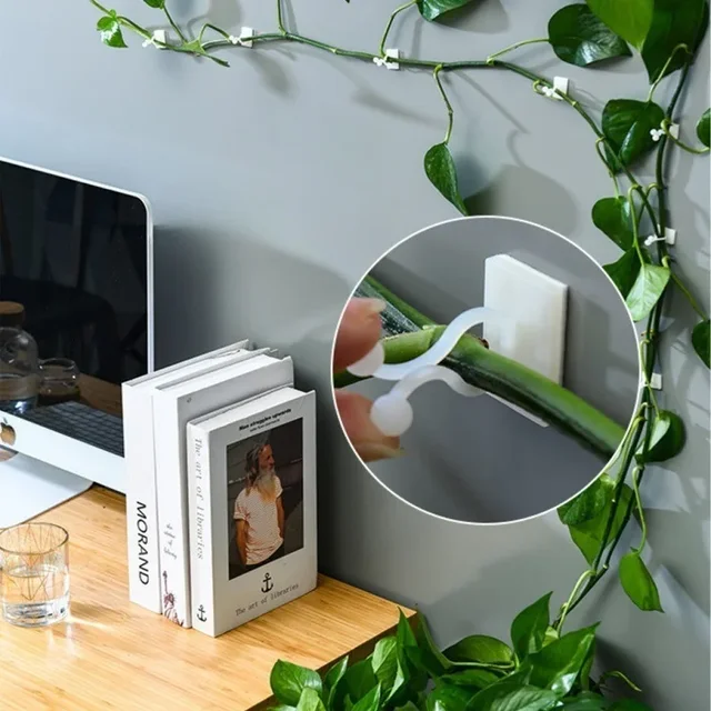 10/30/50pcs Home Garden Plant Climbing Wall Fixture Clips Rattan Vine Fixer Self-Adhesive Plant Climbing Wall Fixed Buckle Hook 2
