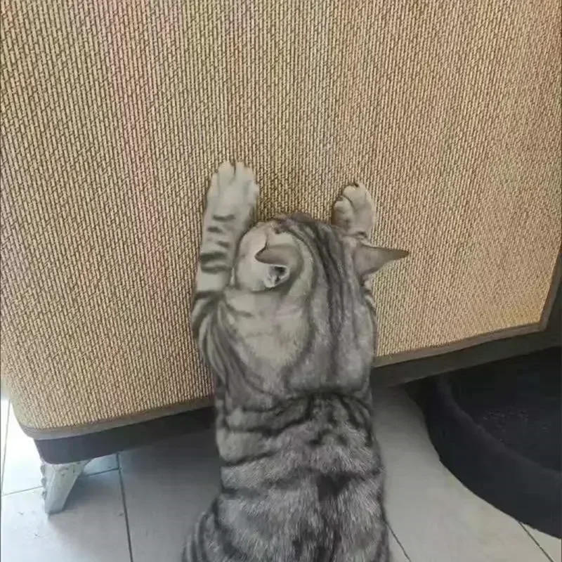 Rascador de bambú para gatos, alfombrilla tejida para afilar uñas, rascador para gatos, juguetes de árbol, silla, funda de sofá, Protector de muebles 2