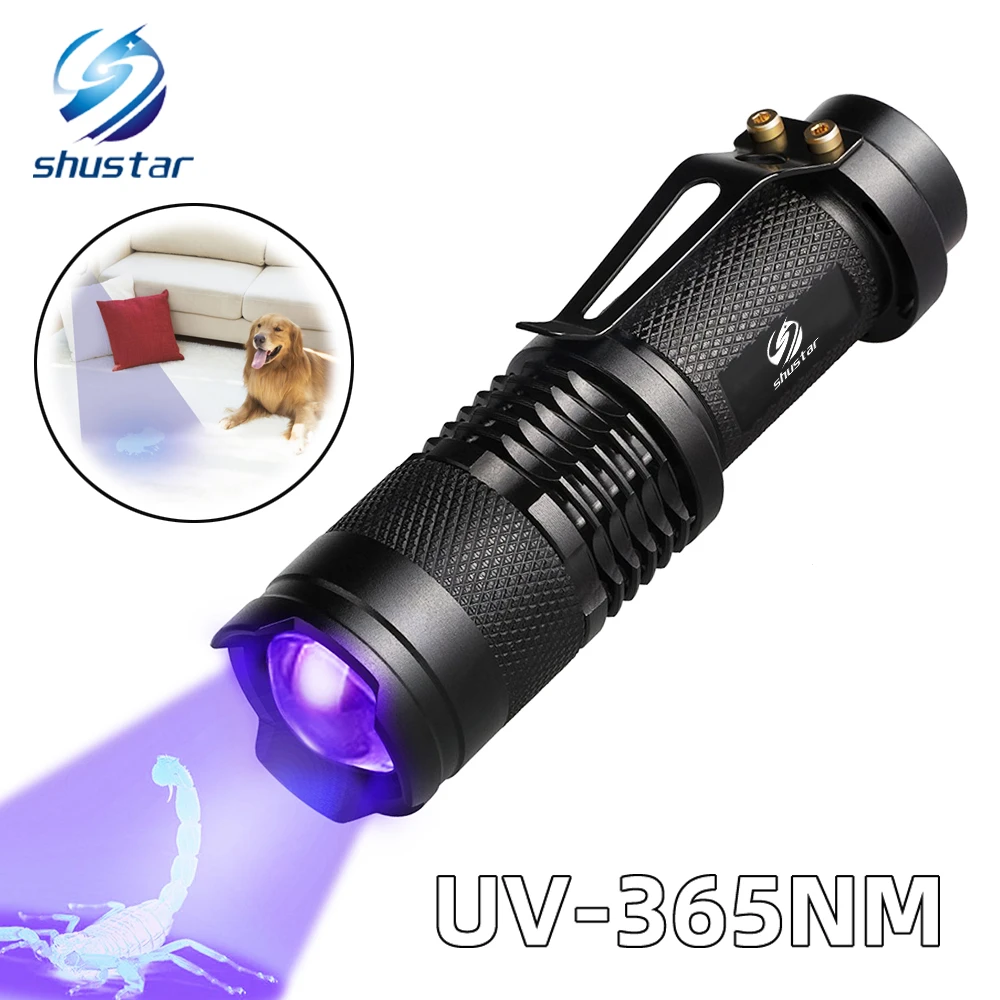 UV Taschenlampe Mit 21 LEDs - Urin Detektor Für Haustiere