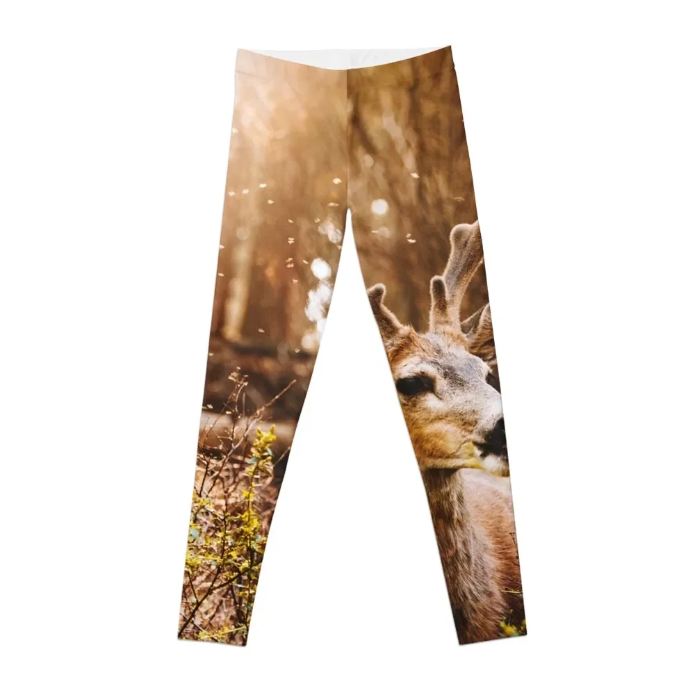 

Леггинсы a deer in the yosemite national park, спортивные женские облегающие Женские леггинсы