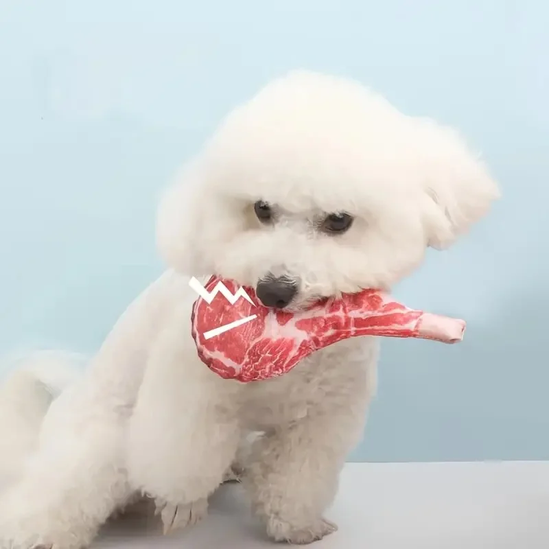Squeaky Bone Dog Toy 5