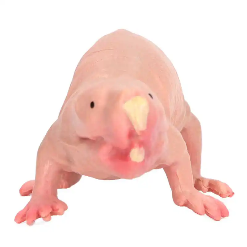 Plastic Mole Figurine Toy Simulation Static Full Core Naked Mole Model for Kids Sand Table Ornaments 3