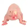 Plastic Mole Figurine Toy Simulation Static Full Core Naked Mole Model for Kids Sand Table Ornaments 3