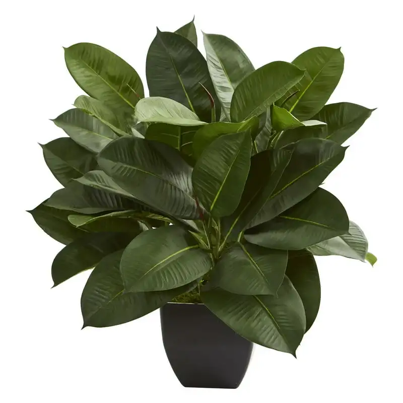 

23" Oak Ficus Artificial Plant, Green