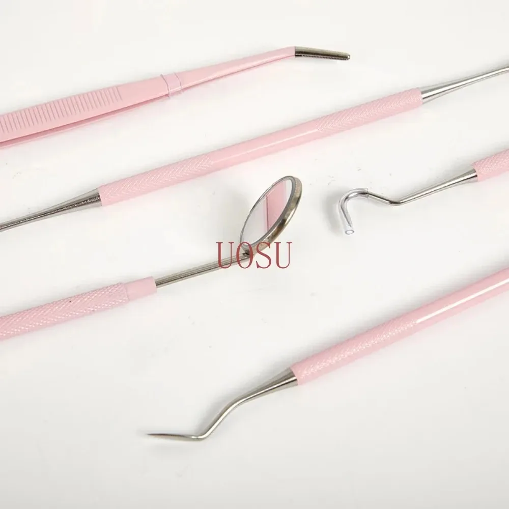 Pink Stainless Steel Dental Care Kit