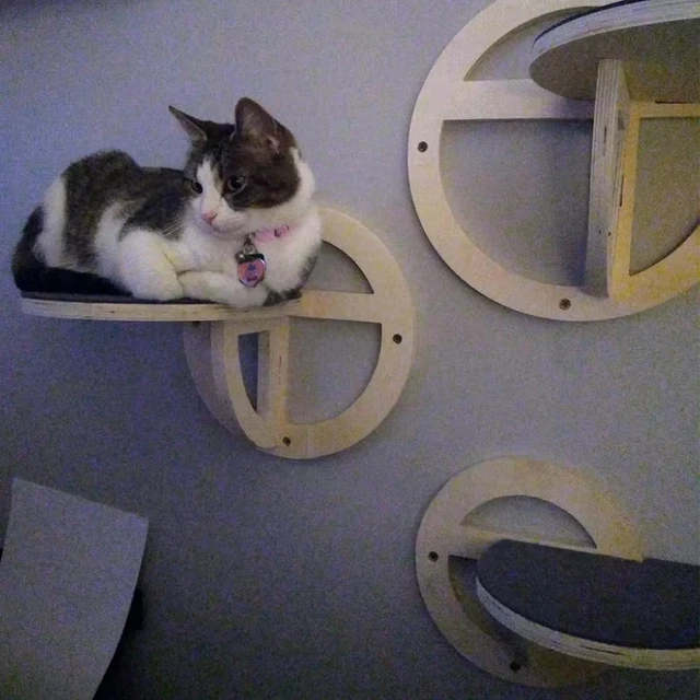 Circular Wooden Cat Wall Shelves Cat Play Furniture Sturdy Build Provide a Cozy and Trendy Spot for Cats to Lounge and Explore 5