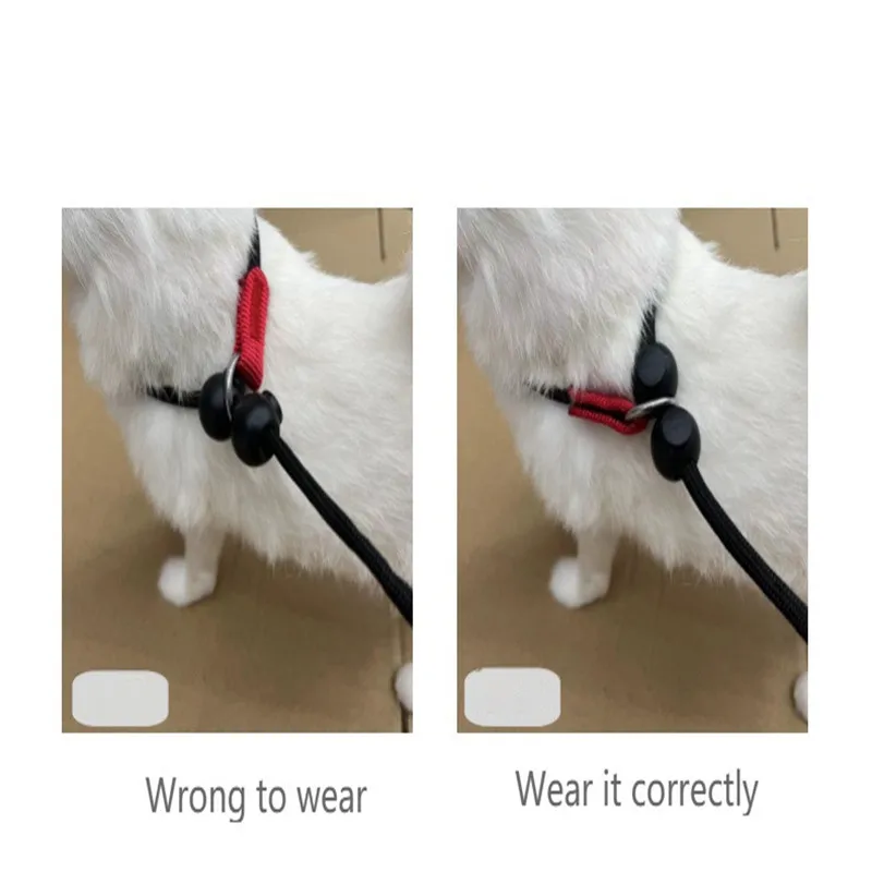 Trainingsleine für Hunde, 2-in-1 Leine und Halsband, 150 cm, P-förmige Kette, Schnellverschluss-Leine, Kontrollleine für kleine und große Wettbewerbshunde – Detail 4