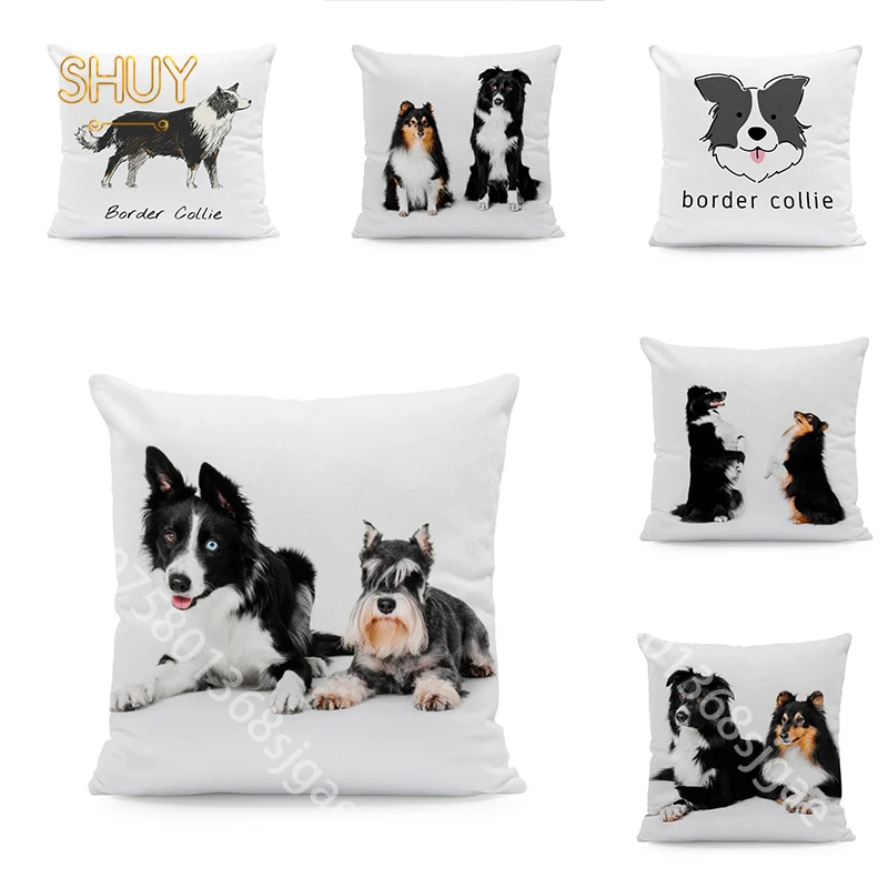 

Modern Minimalist Puppy Border Collie 45x45 Throw Pillow Cover Home Decor Sofa Office Cushion Pillows Decoration Pillowcases