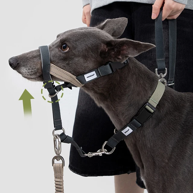 Soft Dog Head Collar Patented Padded No Pull Head Halter Training Nose Leash with Safety Link for Medium Large Dogs Adjustable 4