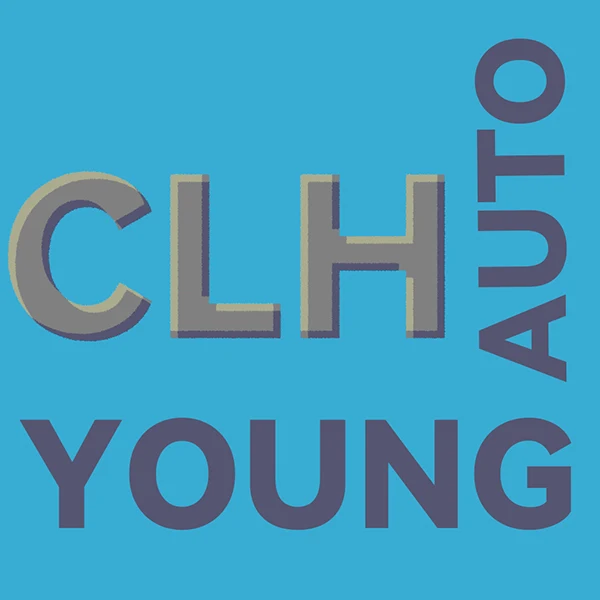 AutoYoung Store