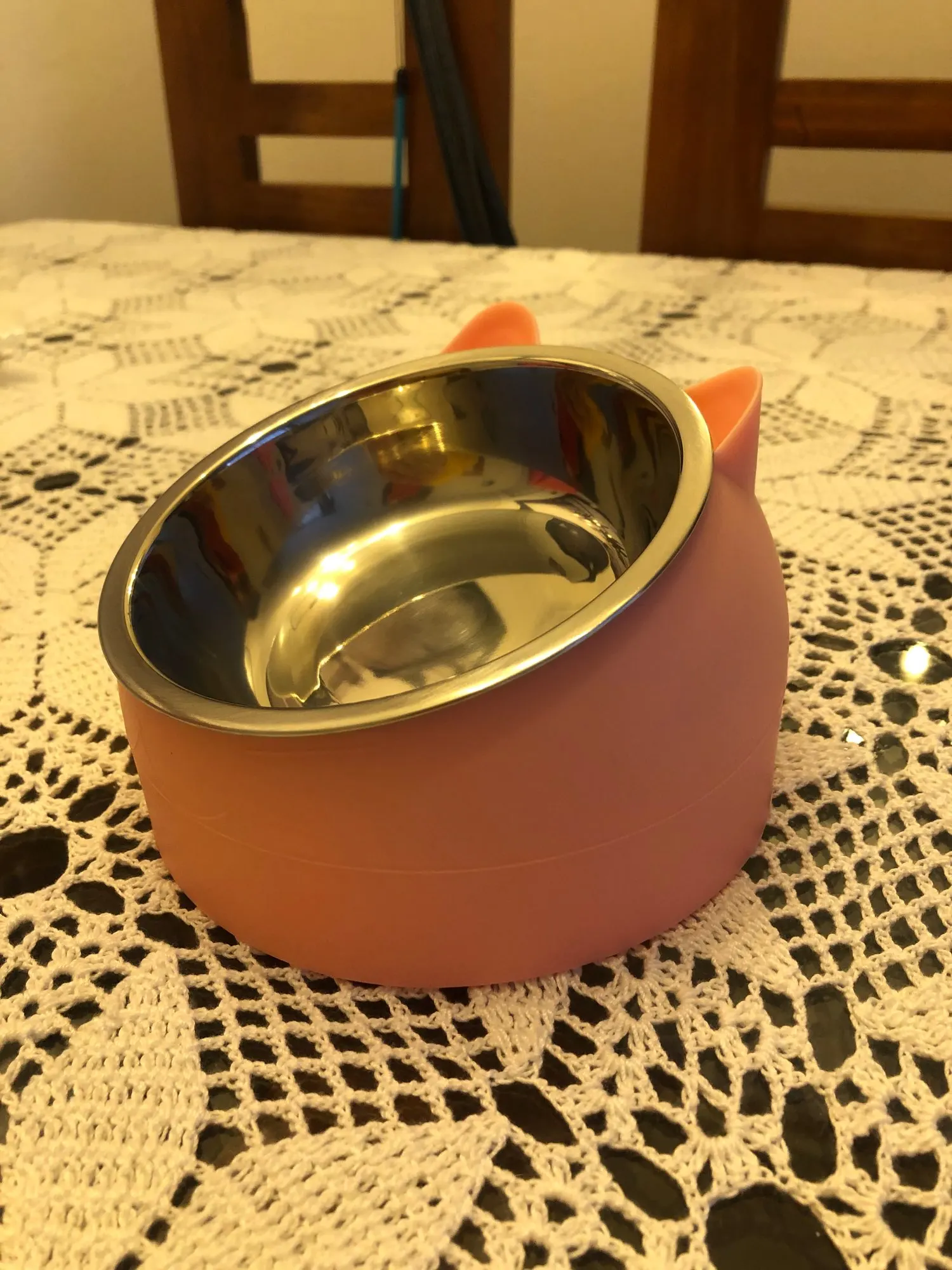Title 35, Cat Dog Bowl 15 Degrees Raised Stainless Steel ...