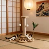 1 Set Durable Solid Wood Cat Scratching Post with Toys, Sisal Board & Interactive Turntable, Prevents Furniture Damage 3