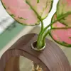 1 Set Vase Hydroponic Test Tube Shape With Wooden Stand Clear Flower Plants Vase Table Propagation Vase Home Desktop Decoration 3