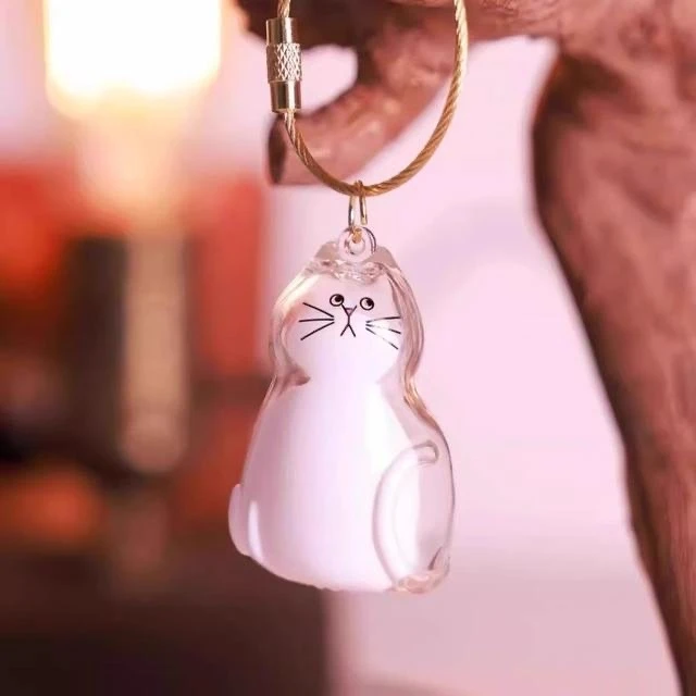 Cat Lover Gift Keychain Pendant Hanging Decor Pet Hair Storage Box Backpack Souvenir Transparent capsule storage pendant 3