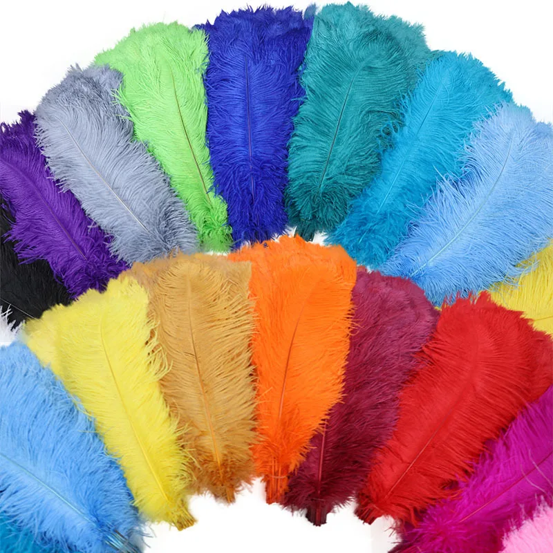 

100PC/Lot 45-50CM 18-20 Inch Ostrich Feathers For Jewelry Making Plume Diy Dream Catcher Decorations Vase Needlework Craft Pluma