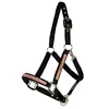Horse halter for daily use nylon material black color fully padded to avoid rubs and adjustable crown and curb