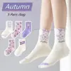 2025 Spring Children's Socks Girls Boys Trendy Pattern Sport Sock Mid Calf Socks  Cotton Socks 5 Pairs 3