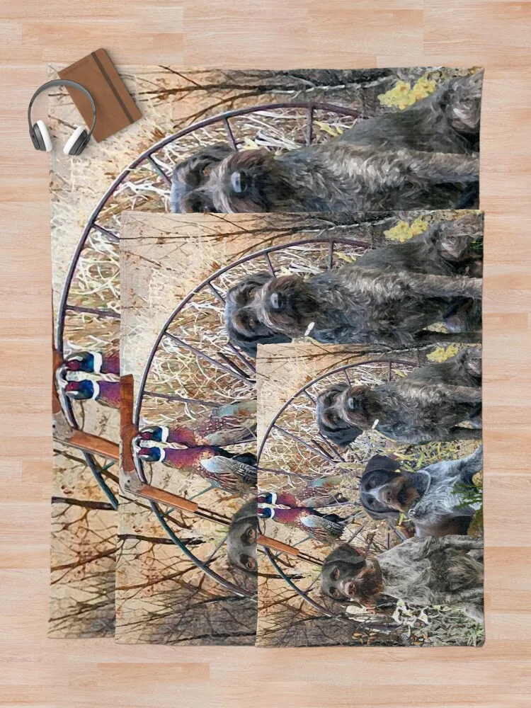 ���� ���� ������ �� (GWP) ���, ���Ÿ� �귣�� ��� ǫ���ϰ� ǳ���� ���