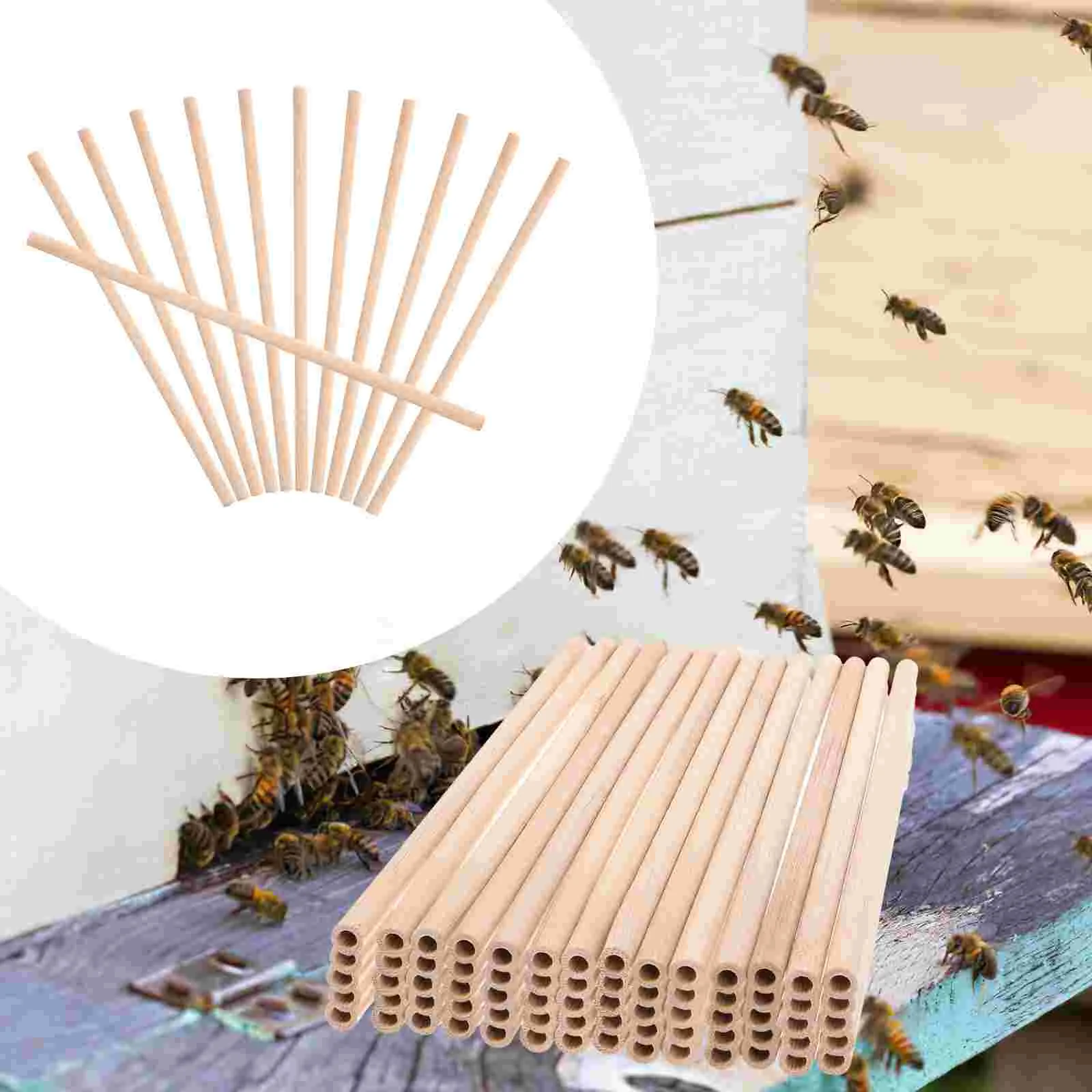 Bee Bamboo Tube Replacement Nesting Tubes Outdoor Beehive for Replaceable Bees DIY 50 Pcs