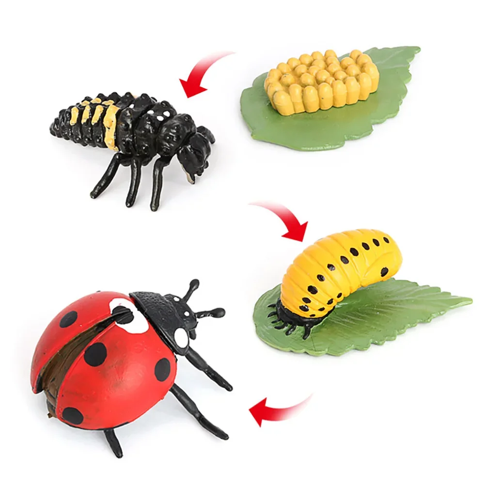 Realistic Animal Models Home Collectible Ornament Educational Insect Frog Crocodile Octopuses Animal Life Cycles Children's Gift