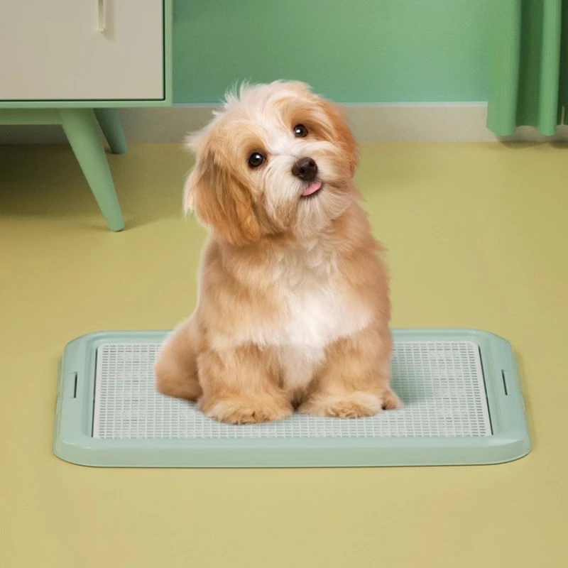 Accessori Dog Toilet Poop Scooper Plastics Puppy Training Dog Sand Basin Pads Cleaner Bolsas Caca Perro Pet Supplies Cy50Dt