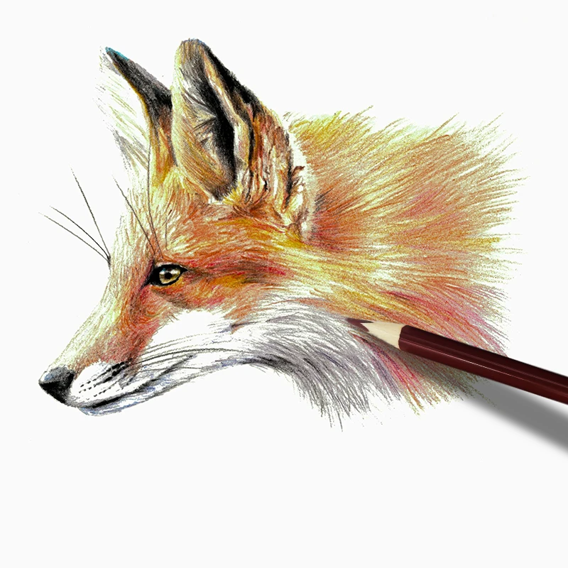 Colored Pencils , Kids Pencils Set, Arts & Crafts Supplies, Coloring Book Pencils, Stocking Stuffers for Kids, Ages 3+ 6
