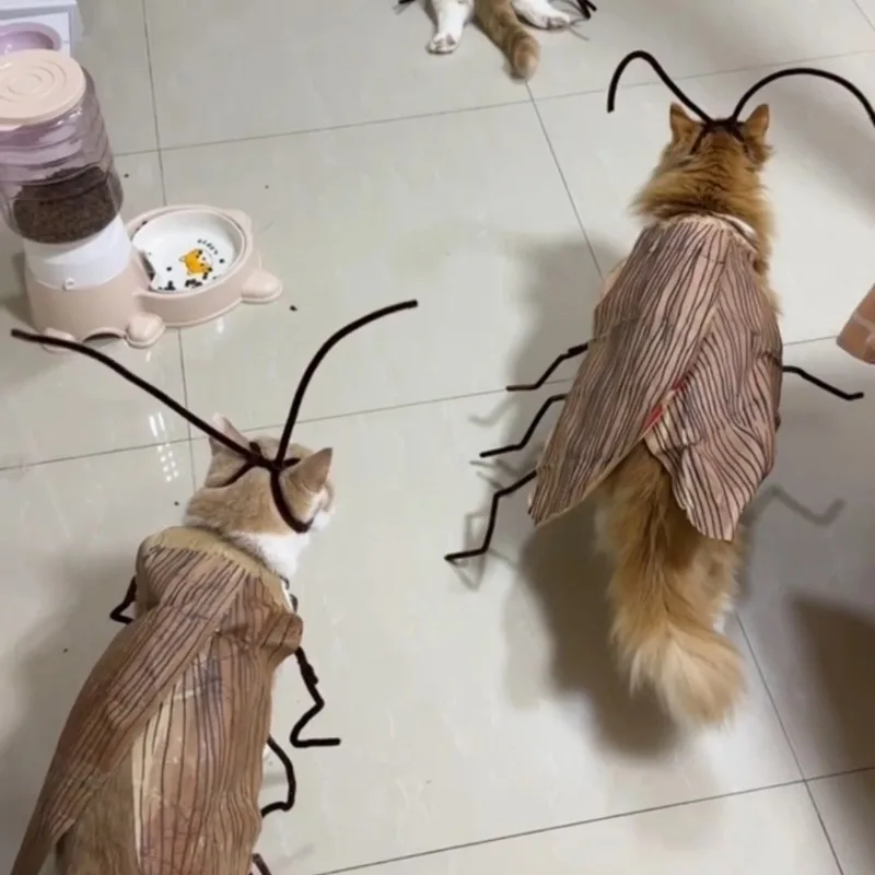 이상한 재미있는 고양이 DIY 바퀴벌레 창의적인 애완 동물 코스프레 의상 패션 스트리트웨어 의류 사진 소품 액세서리