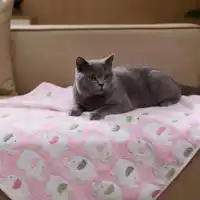Plus de choix de couleurs Couverture de lit pour animaux de compagnie Couverture plus chaude en peluche pour chiens et chats Couverture confortable d'hiver portable et douce pour canapé pour chiot 4