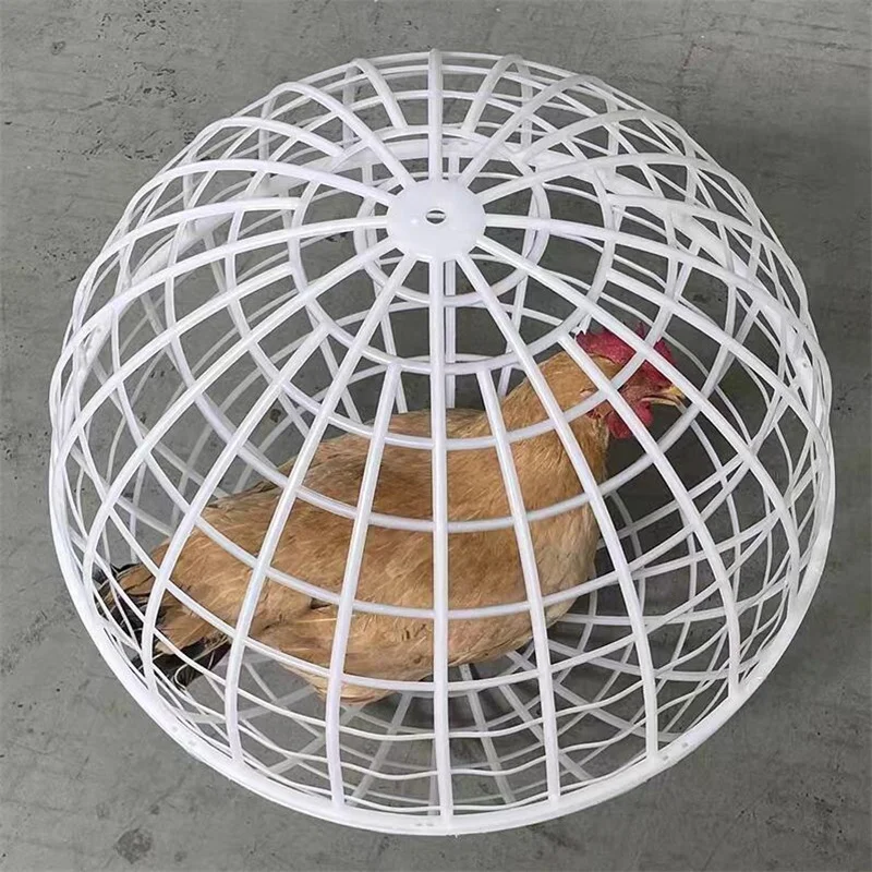 New Walking Chicken Cage Plastic Spherical Chicken Cage Round Rabbit Cage Can Roll and Walk To Feed Free Range Chicken Cage images - 6