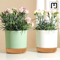 Plastic Flowerpot Flower Plant Pot Balcony Courtyard Potted Plants Bonsai Flowerpot with Drainage Home Garden Tray macetas 4
