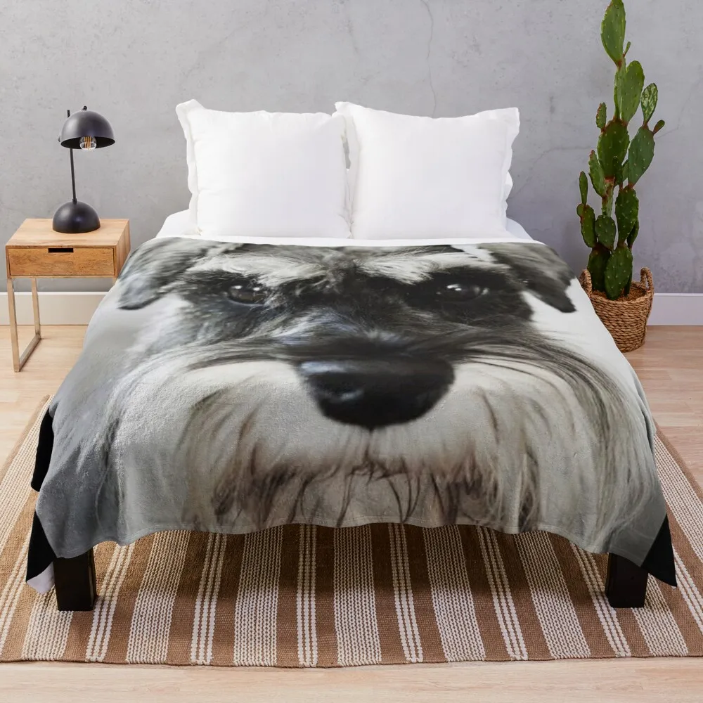 

Schnauzer dog full face pets dogs cute puppy Throw Blanket Extra Large Throw Bed covers christmas gifts Fashion Sofas Blankets