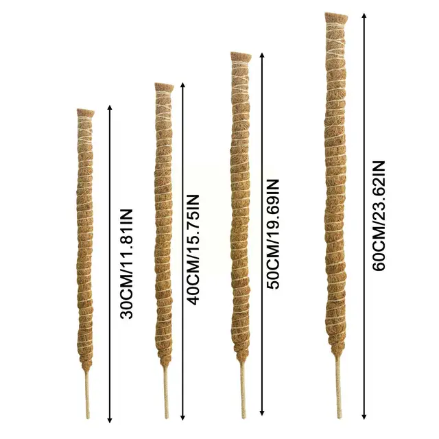 Diy Modellező Növényi Mászó Rúd Szőlő Kókuszdió Hajlított Pálma Oszlop Alakú És Moha Kertészkedés Zöld Kapor J3L0 - Image 6