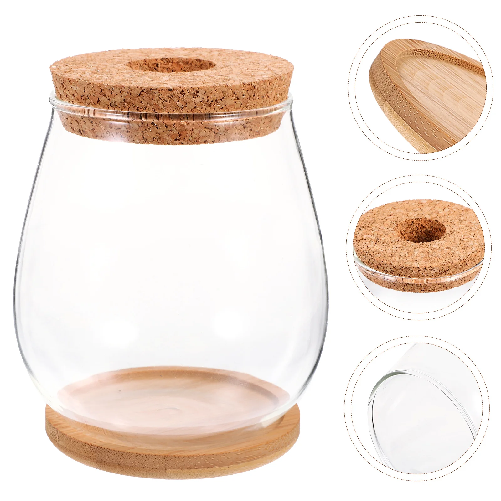 

Flower Vase Hydroponic Glass Moss Ecological Bottle Empty Terrarium Fish Tank DIY Plants Container