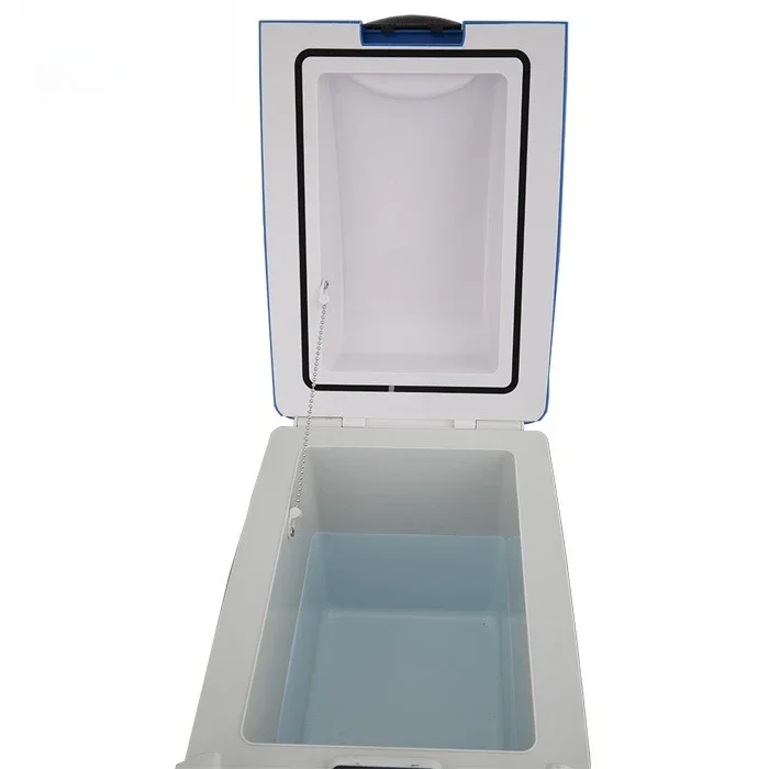 베스트셀러 15L 차량용 냉장고 차량/가정 겸용 미니 냉온장고 12/220v