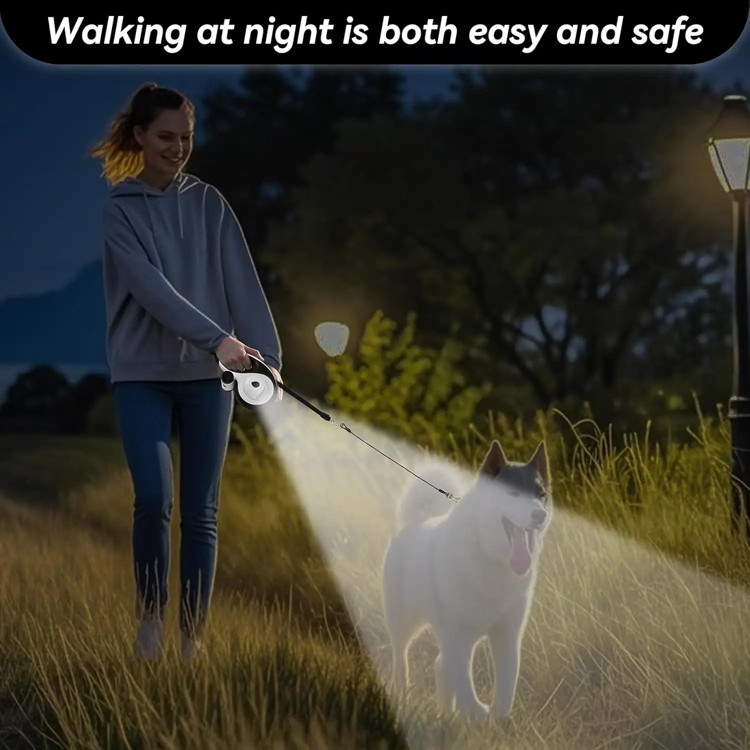 Heavy-Duty Retractable Dog Leash 6