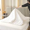 Six Sides Full Enclosed Mattress Protector Cover with Zipper Closure Thicken Quilted Mattress Topper Pad Luxury Soft Bed Sheet 3