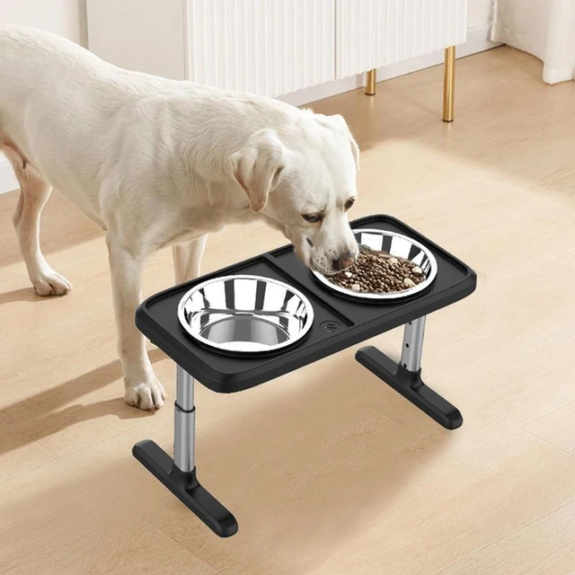 Elevated Dog Bowls 4 Height Adjustable Raised Dog Bowl with Stainless Steel Dog  Food Bowls Non-Slip Dog Bowl Stand for Pets - AliExpress