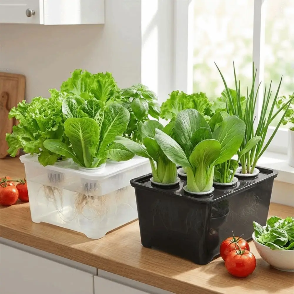 Hydroponic Grower Kit with Self-Watering Seedling Pots and Durable Cultivation Box