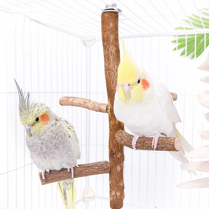 Allazone 4 stuks zitstokken van vogelhout, zitstokken voor vogels, natuurlijk druiventak speelgoed, zitstokken voor vogels, natuurlijk hout voor kakadu, cocorit, fringuelli