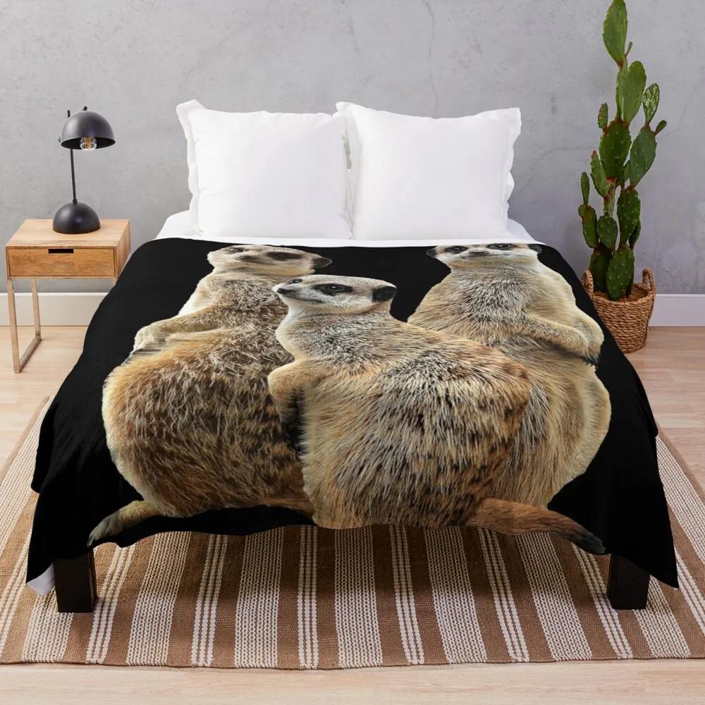 

Lions Throw Blanket Comforter heavy to sleep Blankets