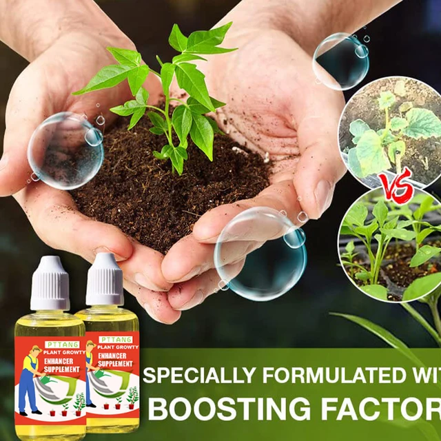 Növények Növekedés Fokozó Multifunkcionális Növénynövekedés A Gyümölcsfa Számára