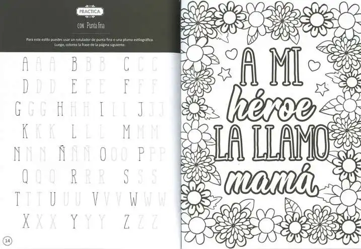 Libro de Lettering