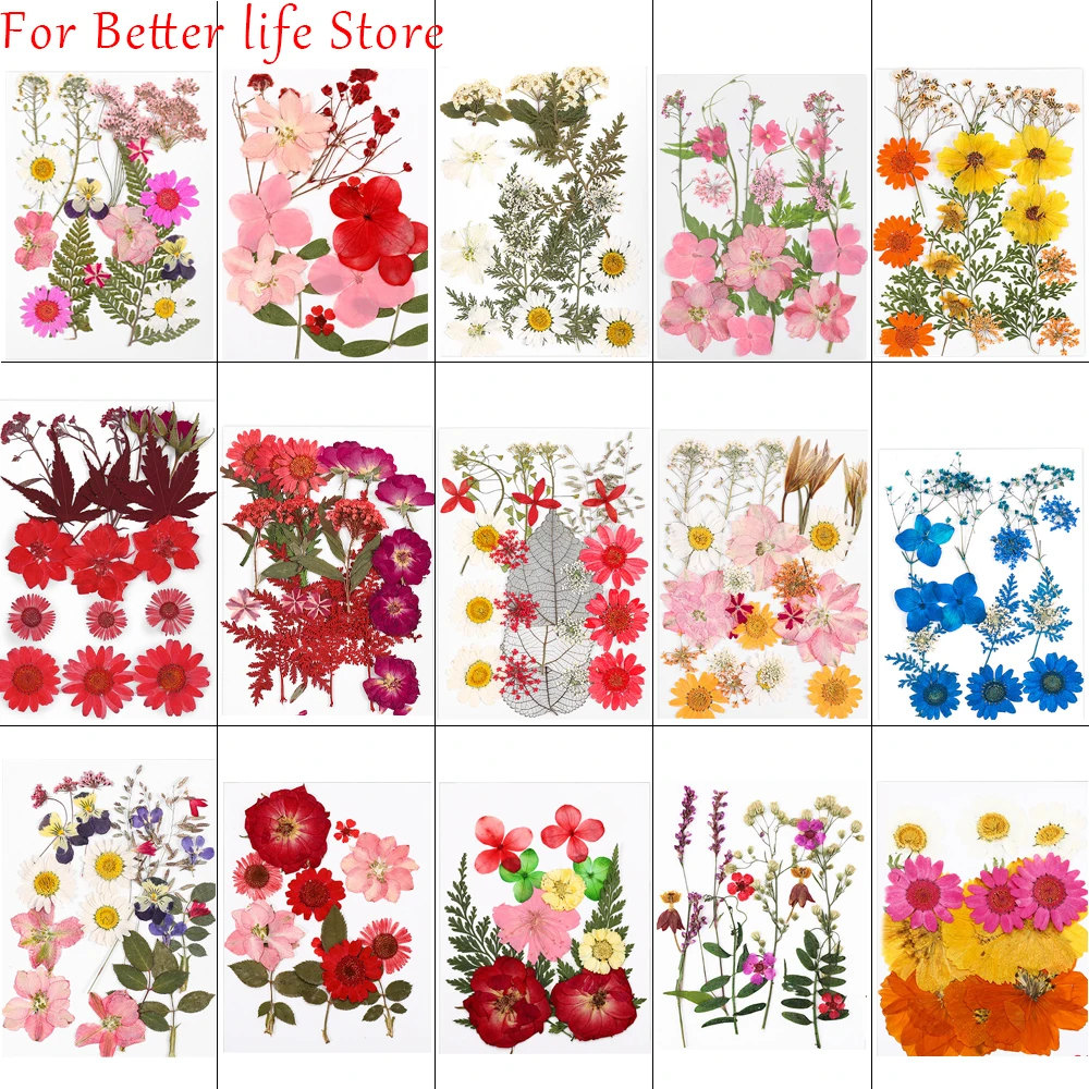 

1Bag Dried Flowers Pressed Flowers Stickers for DIY Phone Case Epoxy Resin Filling Pendant Jewelry Making Crafts Nail Art Decor