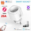 20A ZIGBEE