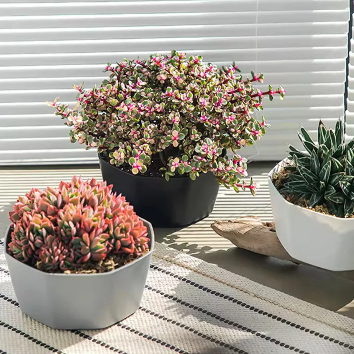 1pc-Simple Planter Large Holder